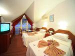 Mustis Royal Plaza Hotel Picture 10