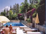 Daffodil Hotel Picture 3