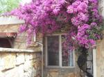 La Rosa Hotel Picture 9