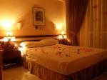 Alara Hotel Picture 5