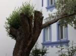 Omar Apartments Picture 3