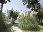 Lydia Apartments Picture 1