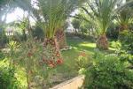 Stavris Studios Picture 1