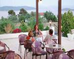 Paradise Hotel Picture 3