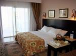 Albatros Palace Picture 3