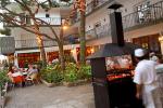 Els Pins Hotel Picture 5