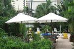 Elysium Resort Picture 2