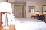Hilton Naples Hotel Picture 2