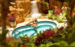 Cheeca Lodge & Spa Hotel Picture 1