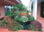 Ramada Inn Naples Picture 1