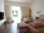 Cretan Malia Park Hotel Picture 3