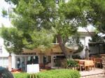 Playa Ferrera Apartments Picture 4