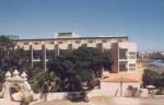 Playa Sur Tenerife Hotel Picture 1