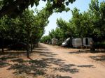 La Llosa Bungalows Picture 1