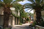 Latania Studios & Apartments Picture 2