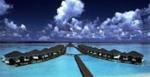 Paradise Island Resort & Spa Picture 5