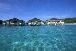 Paradise Island Resort & Spa Picture 3