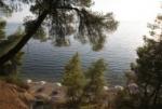 Athena Pallas Village Hotel Picture 2