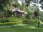 Centara Villas Phuket Hotel Picture 5
