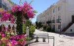 Old Village Apartments Picture 2