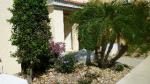 Lake Berkley Townhomes Picture 5
