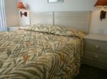 Lake Berkley Townhomes Picture 4