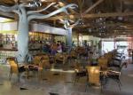 Playa Pesquero Hotel Picture 4