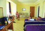 Titan Garden Hotel Picture 4