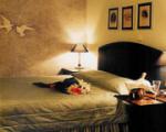 Aenos Hotel Picture 5
