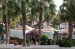 Bahia Calma Apartments Picture 10