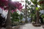 Bahia Calma Apartments Picture 8