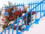 Nissia and Kamares Apartments Picture 4