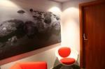 Cal Tet Hotel Picture 1