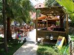 Caretta Apartment Picture 7