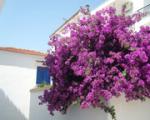 Helios Apartments Picture 1