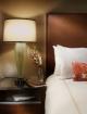 Hilton Orlando Hotel Picture 2