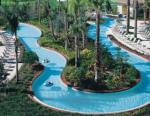 Hilton Orlando Hotel Picture 1