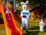 Suites Alba Resort & Spa Hotel Picture 3