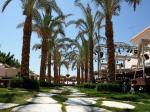 Elysees Hurghada Hotel Picture 3
