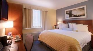 Doubletree By Hilton Times Square South
