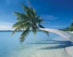 Grand Palladium Jamaica Resort and Spa Hotel Picture 2