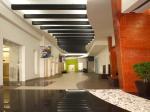 Hard Rock Casino Punta Cana Hotel Picture 11