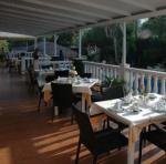 Mayurca Hotel Picture 2