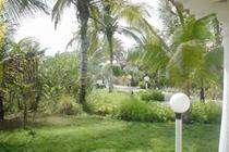 Flamboyant Hotel