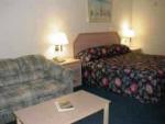 Comfort Inn Sarasota Hotel Picture 4