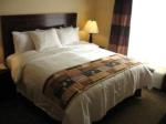 Best Western Tampa Airport Inn and Suites Hotel Picture 2