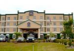 Best Western Tampa Airport Inn and Suites Hotel Picture 0
