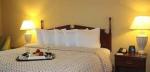Embassy Suites Tampa Westshore Hotel Picture 2
