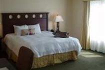 Hampton Inn & Suites Tampa Hotel