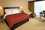 Sheraton Tampa Riverwalk Hotel Picture 3